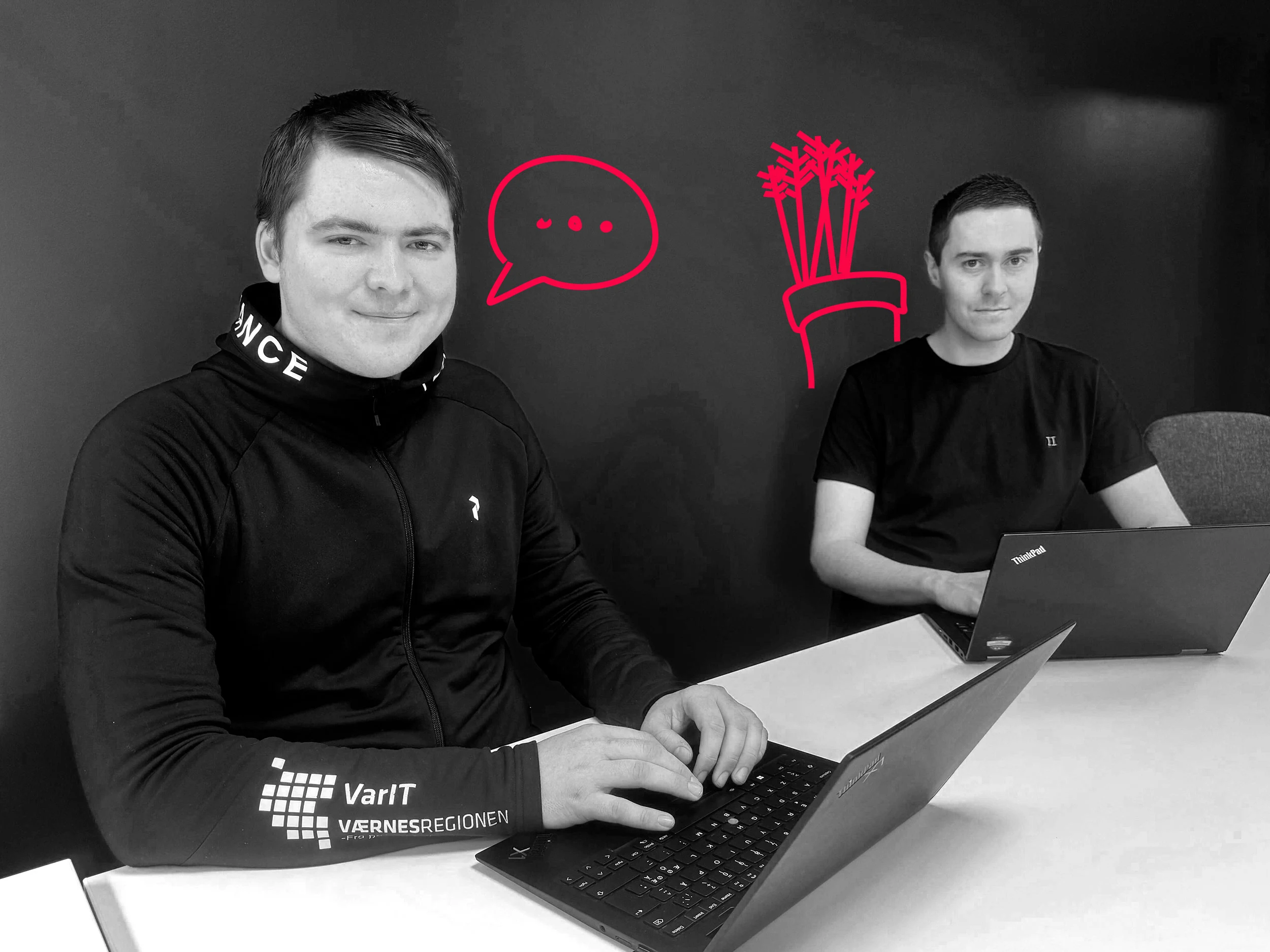 IT-samarbete i Værnesregionen